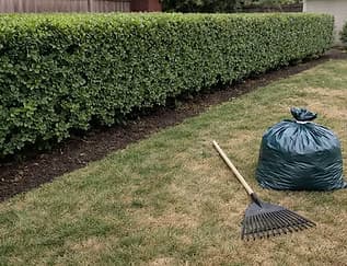 Yard Cleanup — Kingstone Landscaping Georgia