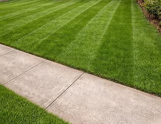 Lawn Mowing & Maintenance — Kingstone Landscaping Georgia